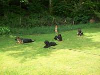 absence-du-maitre-en-groupe